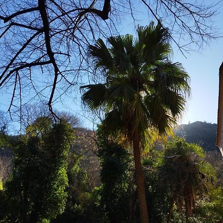 Casa Bienvenida - Carcaixent Bed & Breakfast Bagian luar foto