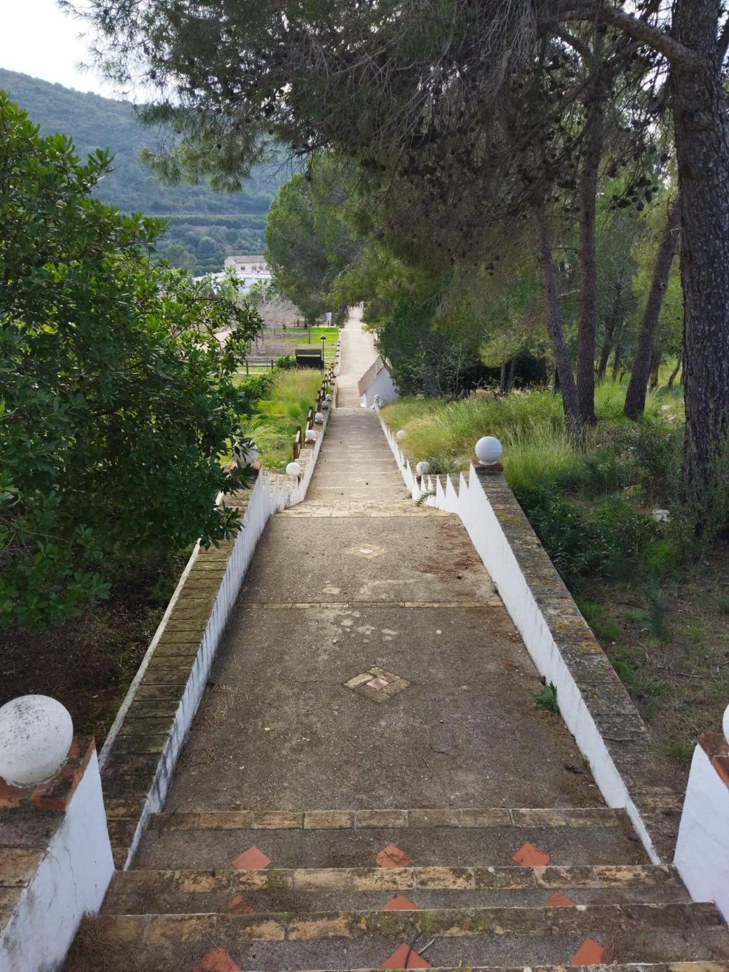 Casa Bienvenida - Carcaixent Bed & Breakfast Bagian luar foto