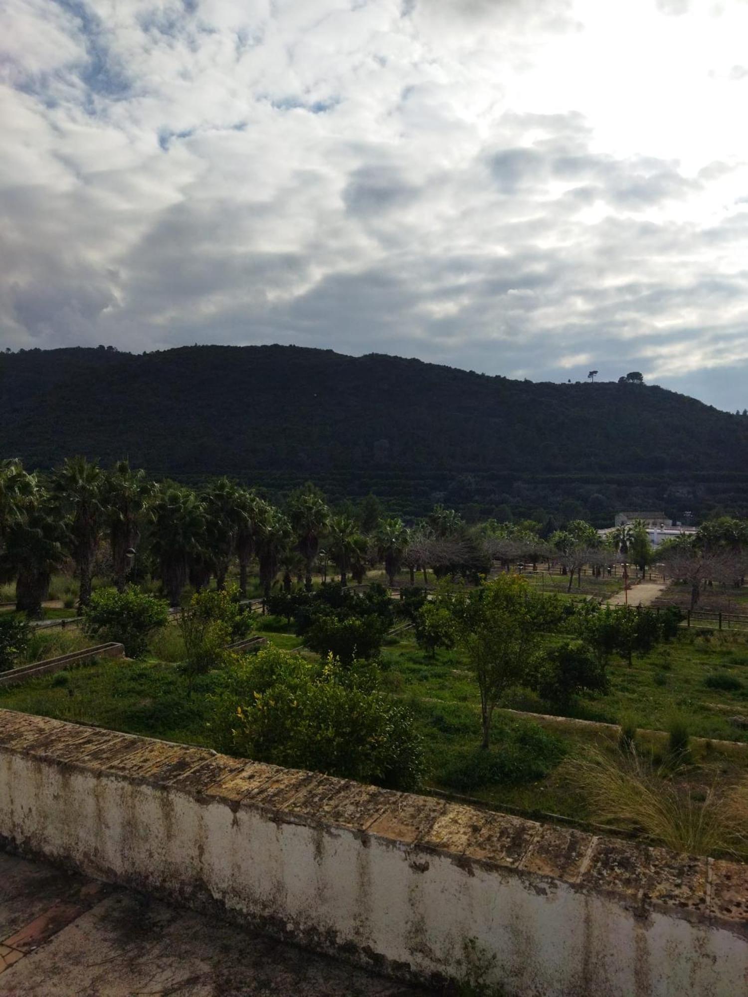 Casa Bienvenida - Carcaixent Bed & Breakfast Bagian luar foto
