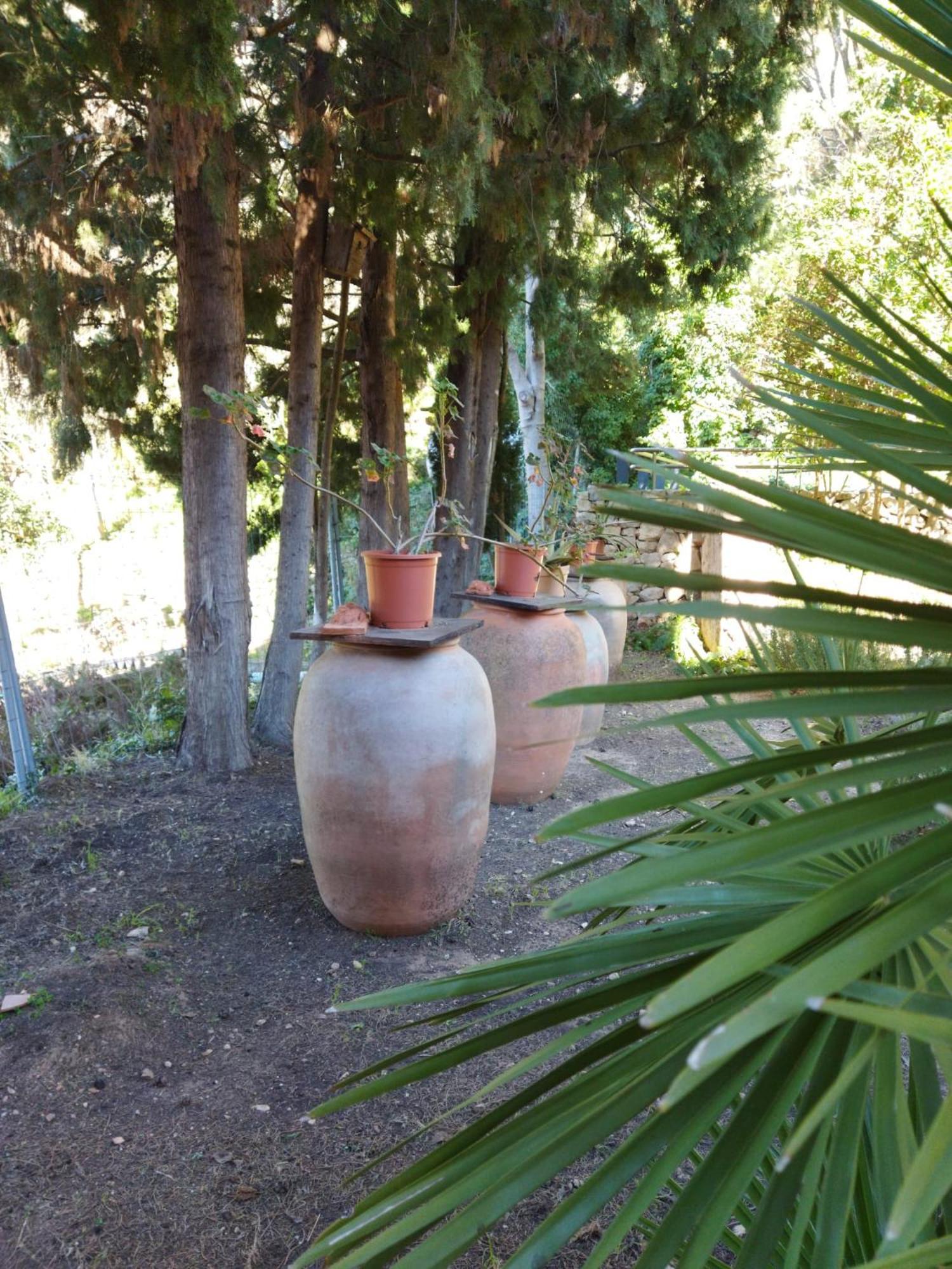 Casa Bienvenida - Carcaixent Bed & Breakfast Bagian luar foto