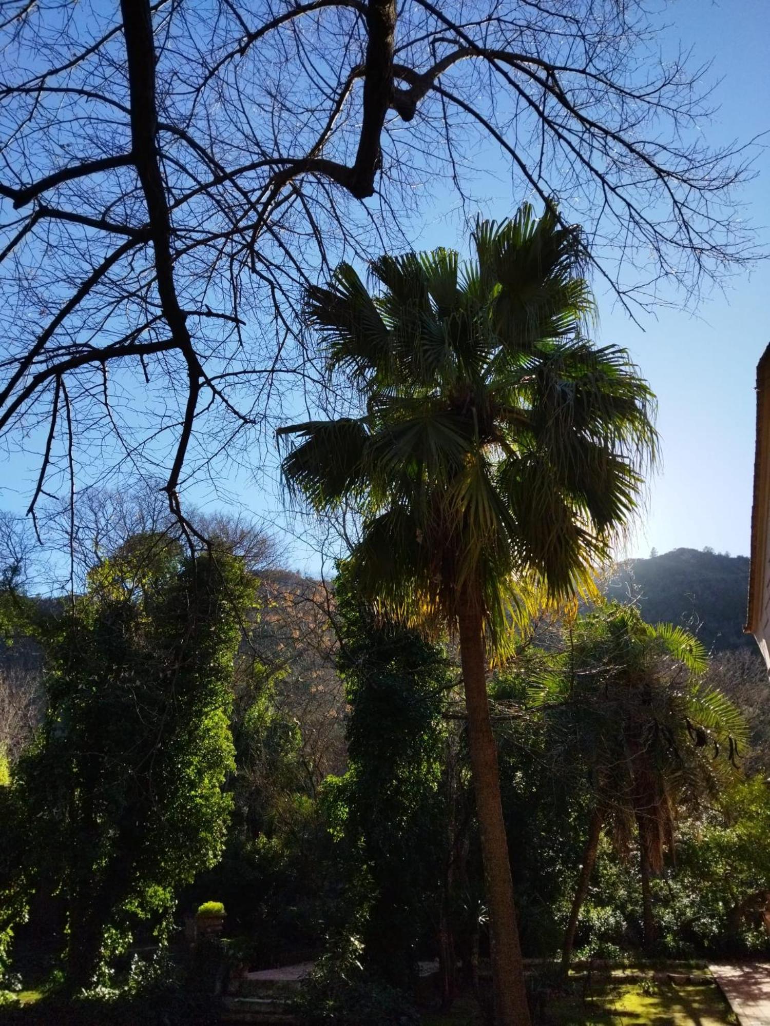 Casa Bienvenida - Carcaixent Bed & Breakfast Bagian luar foto