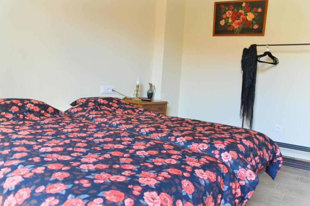 Casa Bienvenida - Carcaixent Bed & Breakfast Bagian luar foto